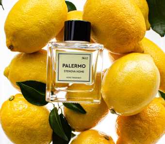 картинка Аромадиффузор с палочками №12 PALERMO 100 мл 318101  от магазина ТНП