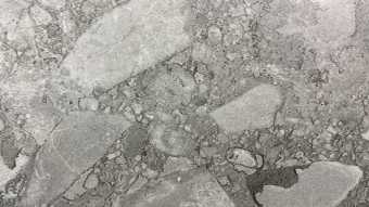 картинка Керамогранитная плитка Palladino Light Grey 60x120 от магазина ТНП