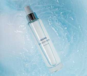 картинка Спрей ароматический для дома LAGUNA 100 мл 329016  от магазина ТНП