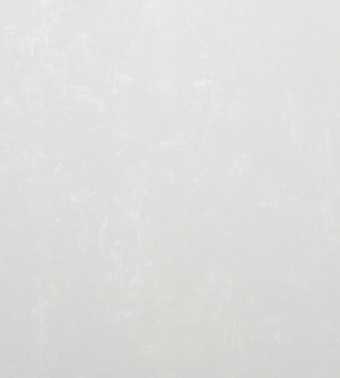 картинка Обои декор г.т. на флиз. основе арт.11329-04 Полёт-уни, 10м*1,06м-НСЛС-RU-0004-Ц-00013-24-S от магазина ТНП