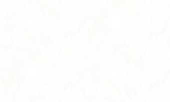 картинка Обои TH68302W-B 1.06*10m от магазина ТНП