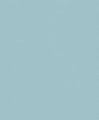 картинка Обои TH500814 1.06*10m от магазина ТНП