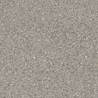 картинка Линолеум MASTER PROXI 2_0887 - 3 м от магазина ТНП