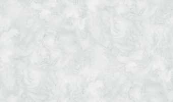 картинка Обои декор г.т. на флиз. основе арт.11324-05 Иней, 10м*1,06м-НСЛС-RU-0004-Ц-00013-24-S, Производител от магазина ТНП