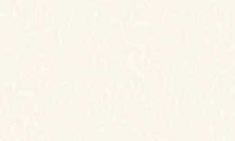 картинка Обои TH8022-9 1.06*10m от магазина ТНП