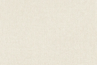 картинка Обои TH91305 1.06*10m от магазина ТНП