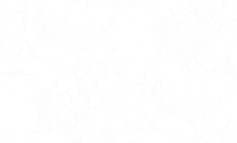 картинка Обои TH68301W-B 1.06*10m от магазина ТНП