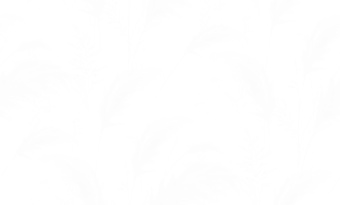 картинка Обои TH68301W 1.06*10m от магазина ТНП