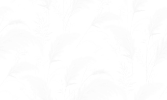 картинка Обои TH68305W 1.06*10m от магазина ТНП